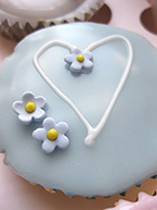 Gluten free, dairy free Vanilla Raspberry and Chocolate Butternut cupcakes, made with organic ingredients. Topped with fondant icing and sugar Forget-me-nots