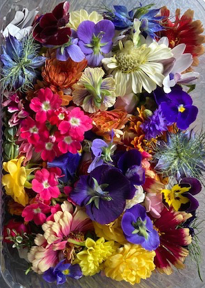 Organic edible British flowers, grown not flown